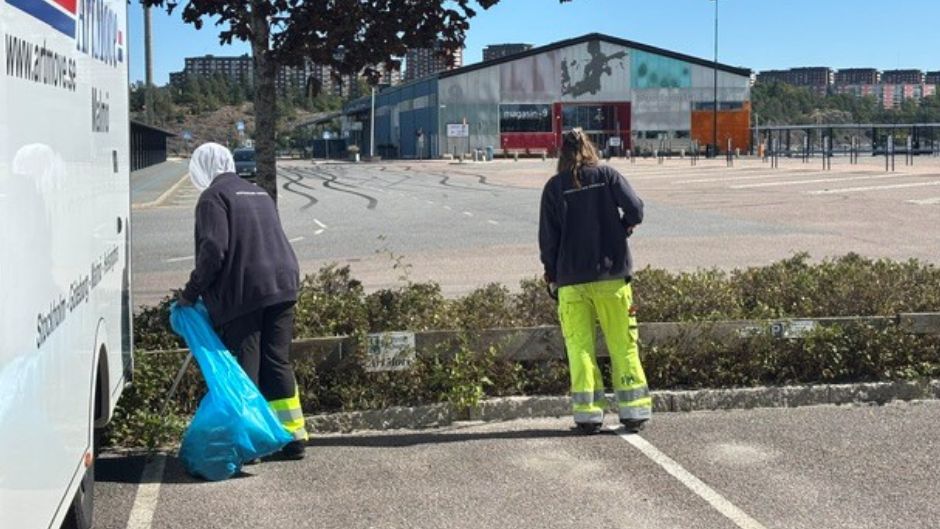 Sommarjobbare bidrar till bättre hamnmiljöer