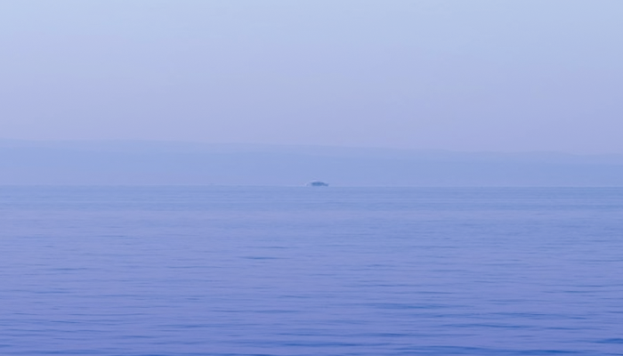 Hav med ett fartyg långt borta.