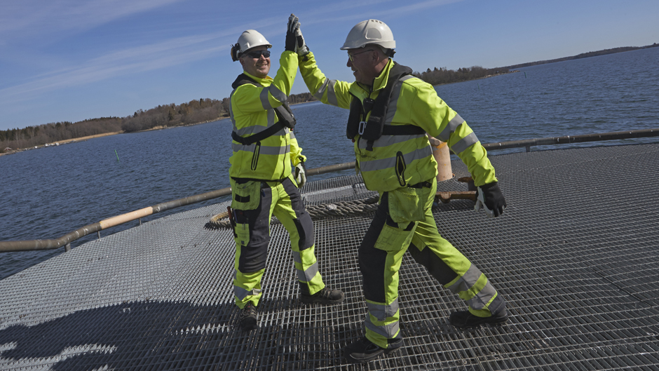 Två stuveriarbetare gör high five på kajen