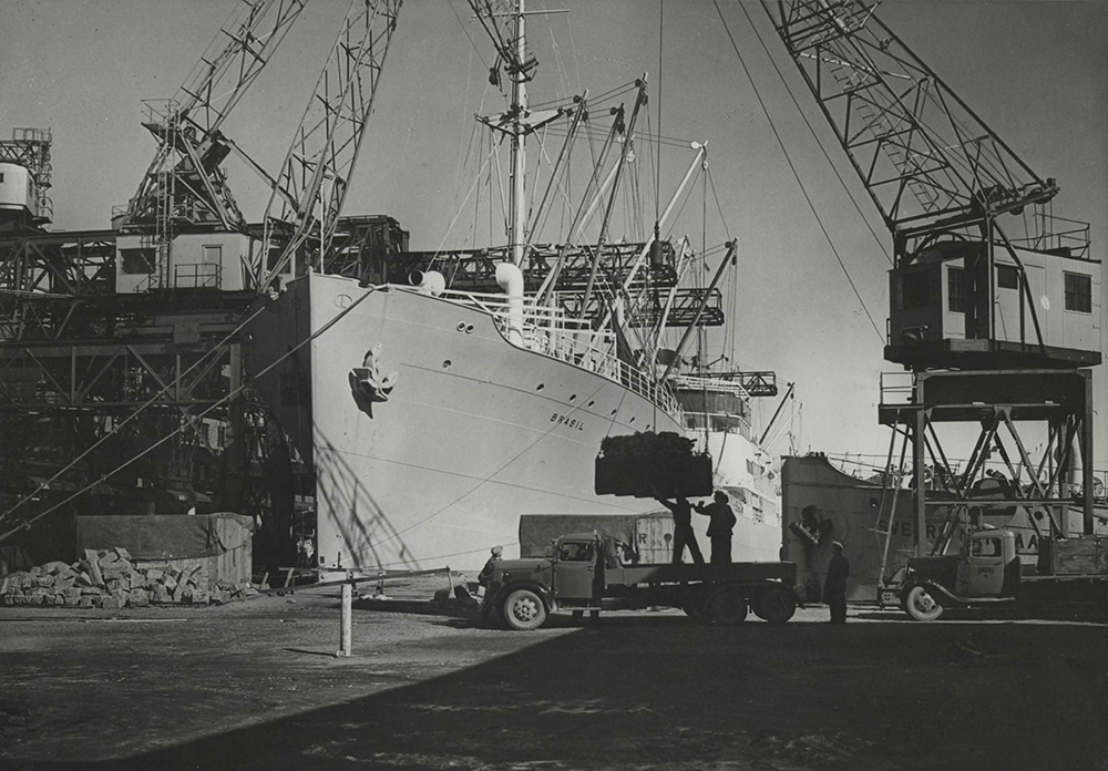 Frihamnen: Lossning av bananstockar. Båten m/s Brasil byggdes i Göteborg, sjösattes 23 februari 1943. Sedemera såld till Taiwan och upphuggen 1976.